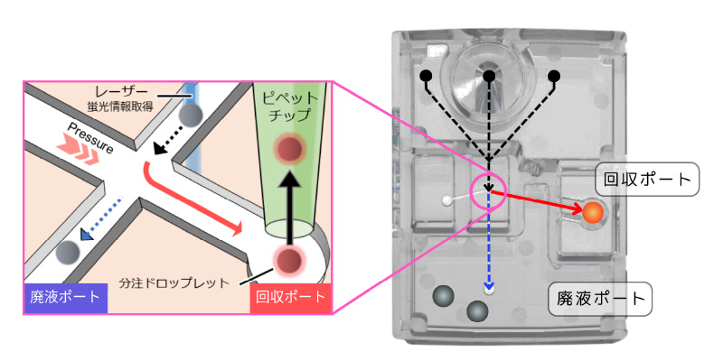 回収ポートへ分離イメージ