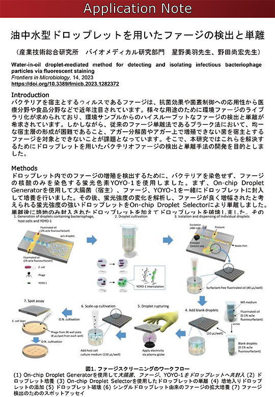 油中水型ドロップレットを用いるファージの検出と単離