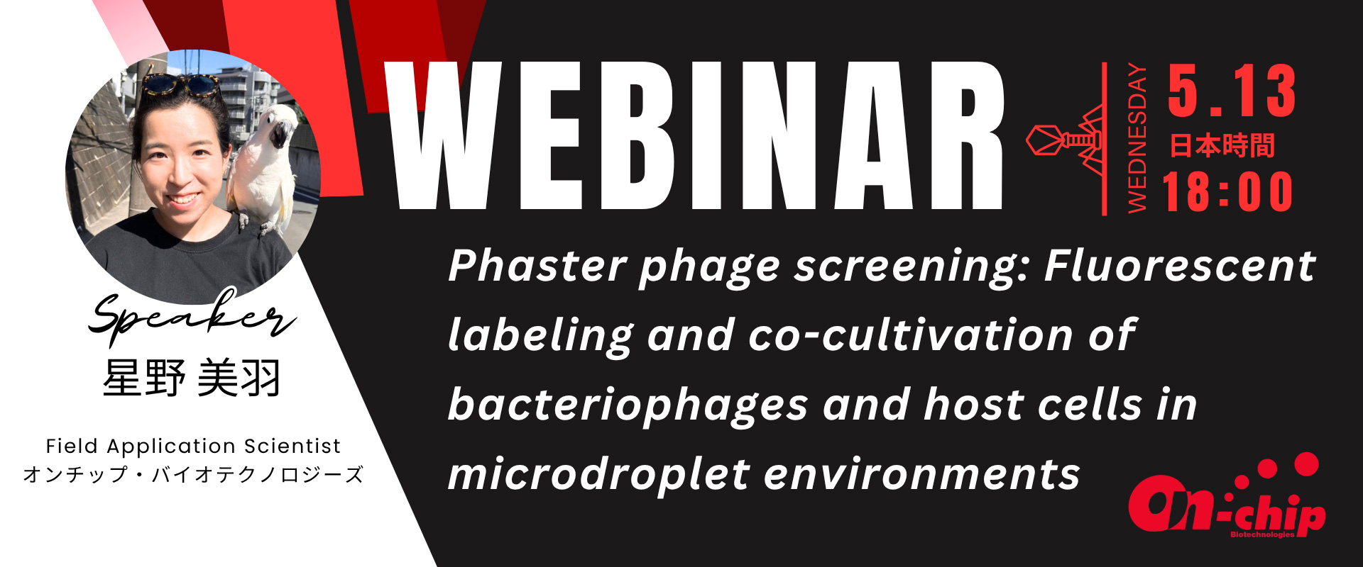 ウェビナー20260513