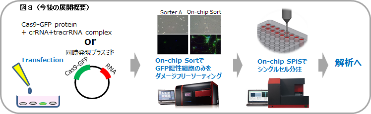 細胞ダメージが少ないOn-chip SortとOn-chip SPiSの組み合わせで シングルセル培養が難しいiPSや神経細胞などのゲノム編集細胞取得が可能となる！？